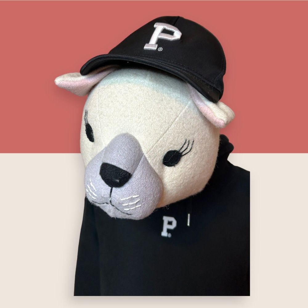 🌲 PORTLAND OREGON GEAR SPORTY "P" LOGO DAD CAP BASEBALL HAT OSFM